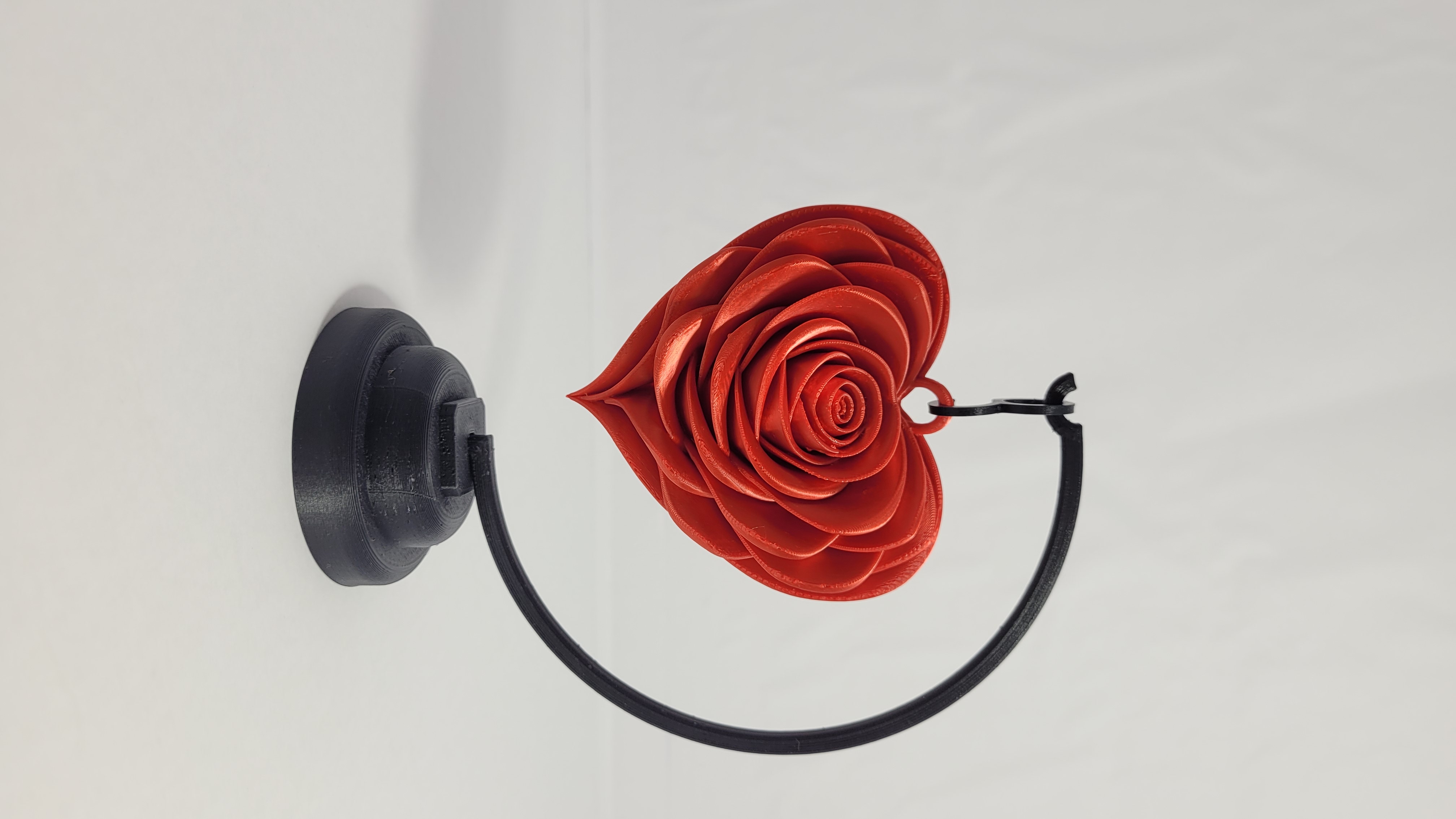 Rosa eterna